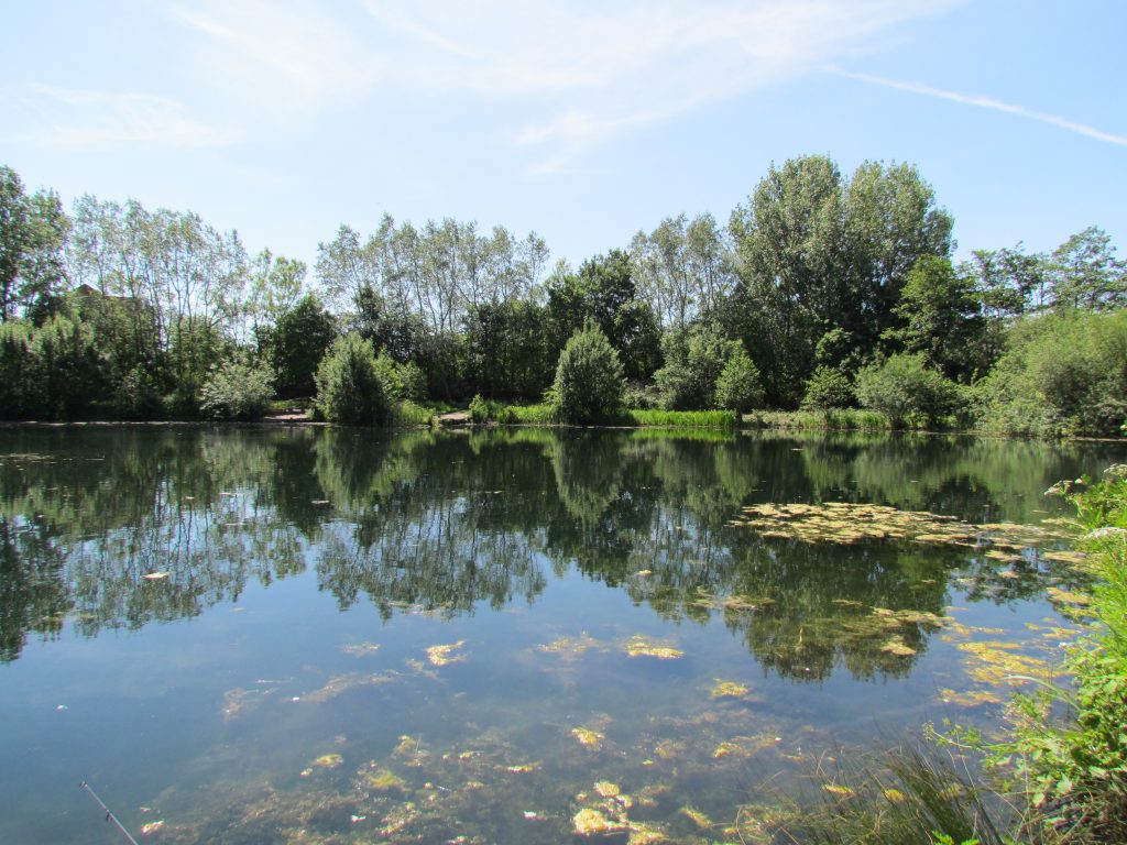Moss Nook Lake Pictures NC Fisheries